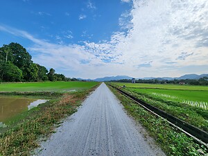 14 Days Malaysia Mixed Surface, Sea to Summit Touring and Exploration