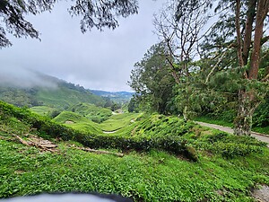 6 Day Malaysia Climbing Tour