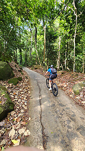 Penang Island - Mountain Bike - Ride & Explore Package