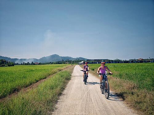 Day Tour - Penang Island by E-Bike