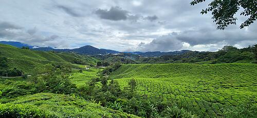 14 Days Malaysia Mixed Surface, Sea to Summit Touring and Exploration