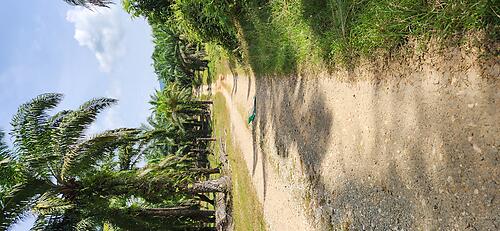 14 Days Malaysia Mixed Surface, Sea to Summit Touring and Exploration