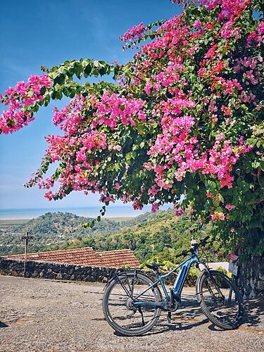 Day Tour - Penang Island by E-Bike