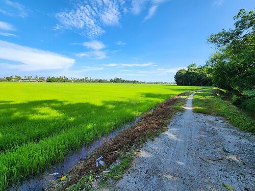 Day Tour - Penang Island by Mountain Bike